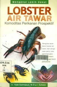 Mengenal lebih dekat lobster air tawar komoditas perikanan prospektif