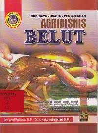 Agribisnis belut