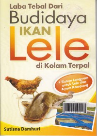 Laba tebal dari budidaya ikan lele di kolam terpal