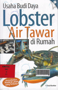 Usaha Budidaya Lobster Air Tawar di Rumah