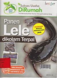 Panen lele di kolam terpal