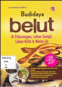 Budidaya belut di pekarangan, lahan sempit, lahan kritis & minim air