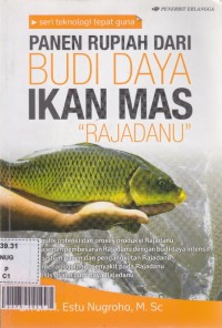 Panen rupiah dari budi daya ikan mas rajadanu