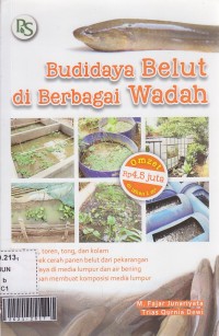 Budidaya belut di berbagai wadah