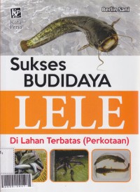 Sukses budidaya lele di lahan terbatas (perkotaan)