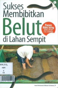 Sukses membibitkan belut di lahan sempit