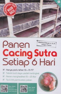 Panen cacing sutra setiap 6 hari