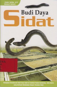 Budidaya sidat