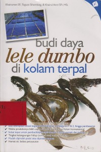 Budidaya lele dumbo di kolam terpal